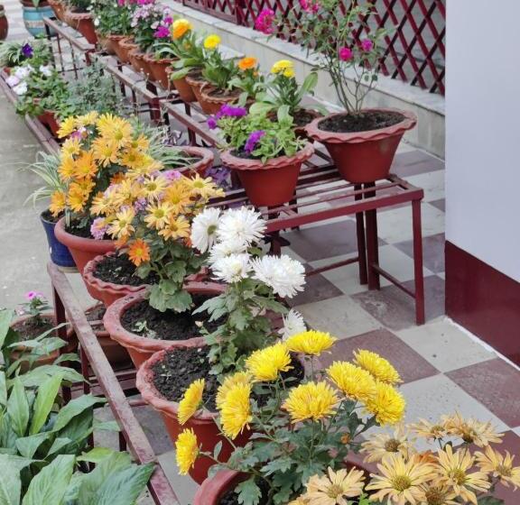 ペンション Gitali’s Homestay