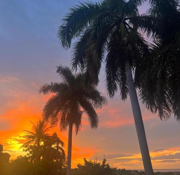 هاستل The Lodge @ Peaceful Palms