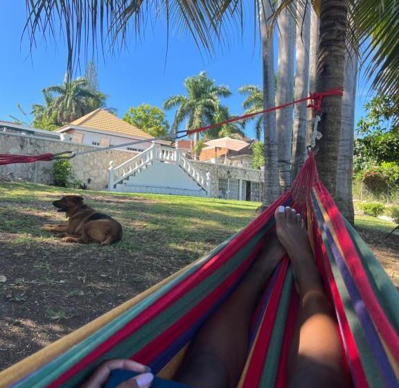 هاستل The Lodge @ Peaceful Palms