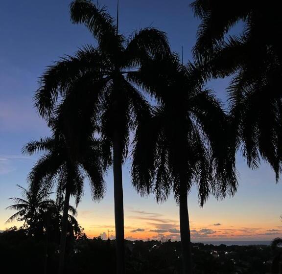 هاستل The Lodge @ Peaceful Palms