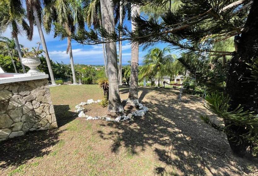 هاستل The Lodge @ Peaceful Palms