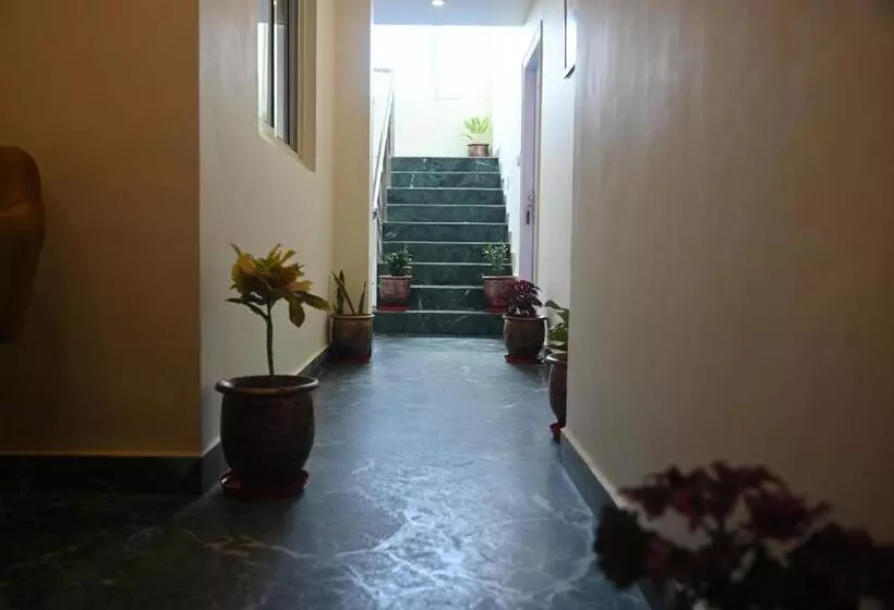 ベッドアンドブレックファースト Pine Ville Shimla