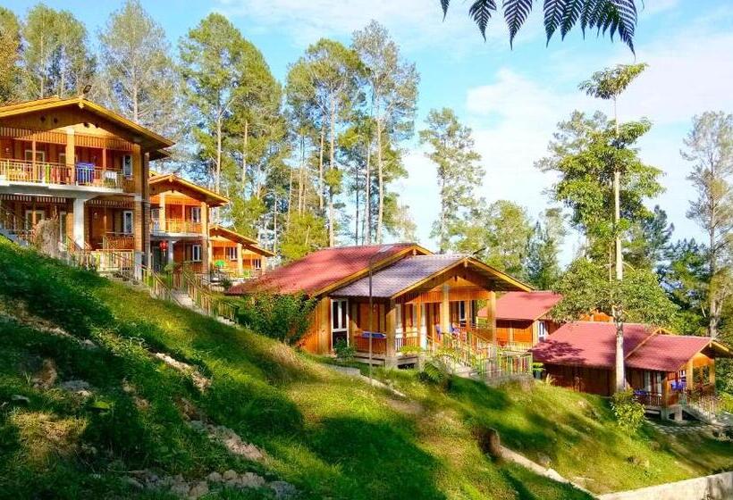 Cheagia Resort At Sitinjo Near Sidikalang