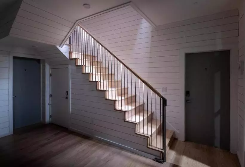 Hotelli Boutique Room Steps From Downtown Mall Rose Jean   Room 4