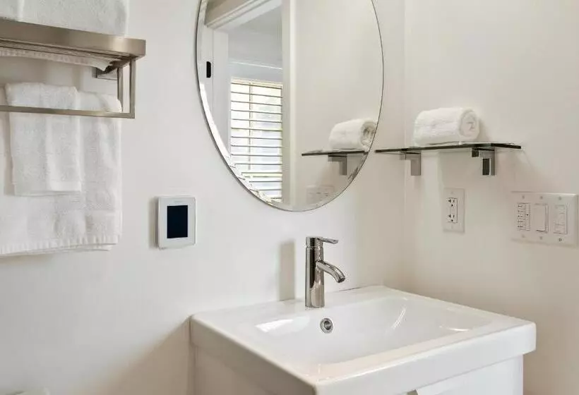 Hotelli Boutique Room Steps From Downtown Mall Rose Jean   Room 4