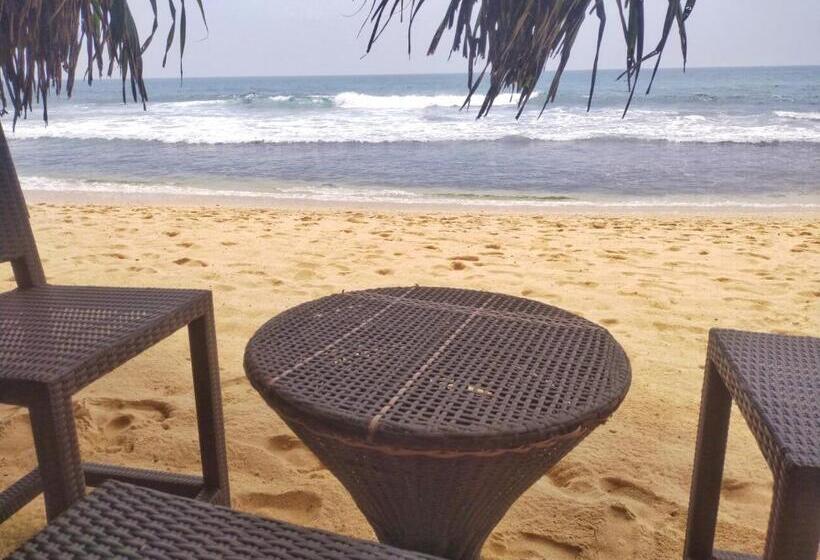 Отель Dalawella Beach Resort