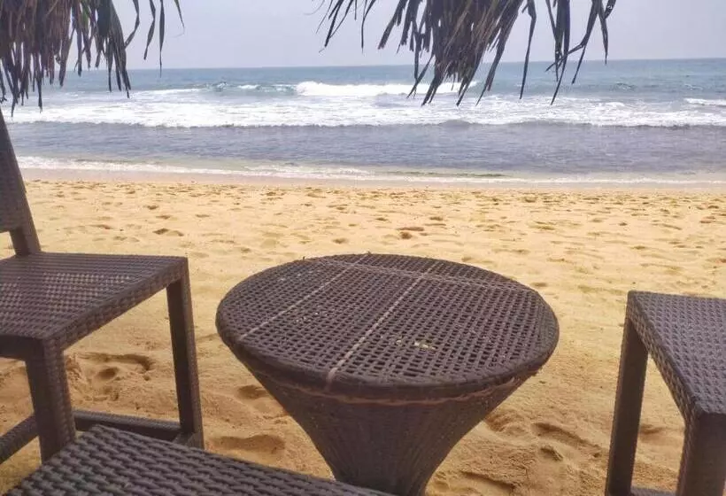 ホテル Dalawella Beach Resort