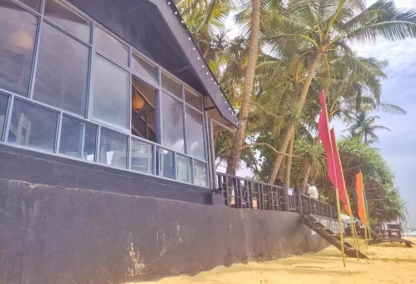 ホテル Dalawella Beach Resort