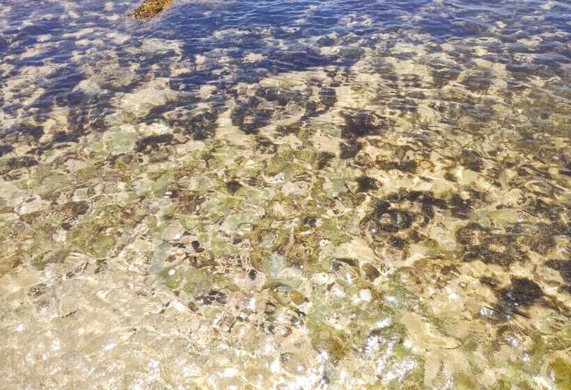 Отель Dalawella Beach Resort