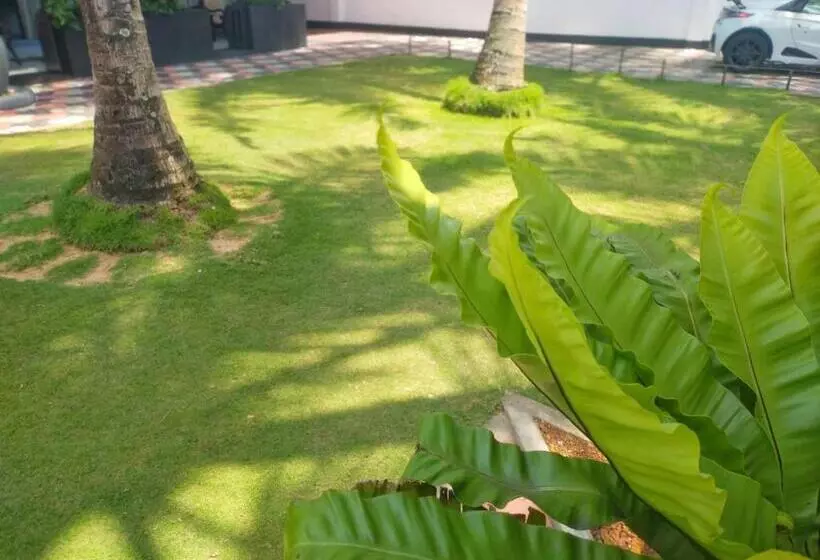 ホテル Dalawella Beach Resort