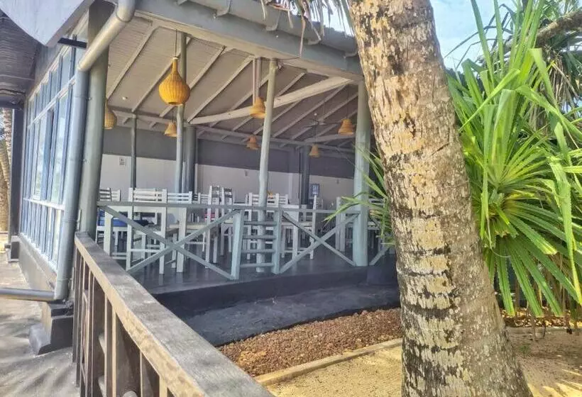 ホテル Dalawella Beach Resort