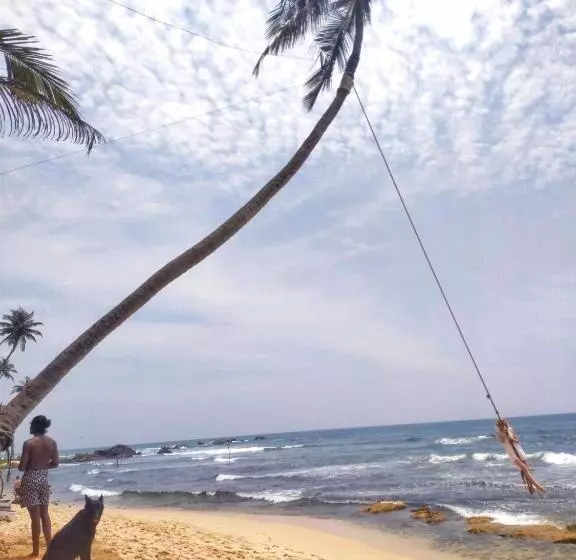 ホテル Dalawella Beach Resort