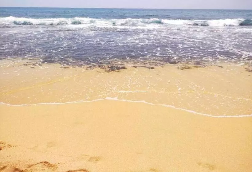 ホテル Dalawella Beach Resort