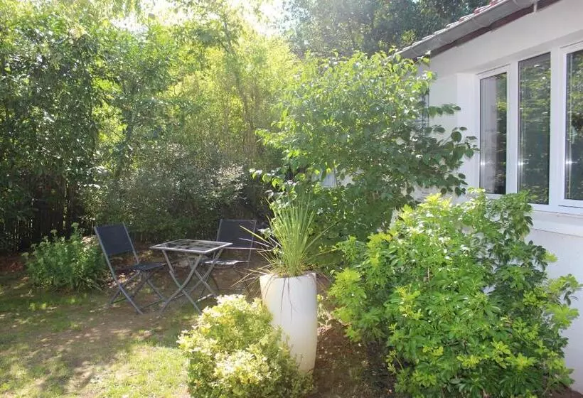 Majatalo Au Tour Des Bois