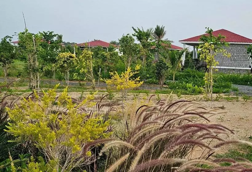 The Leopard View Jawai By 7box Hotels