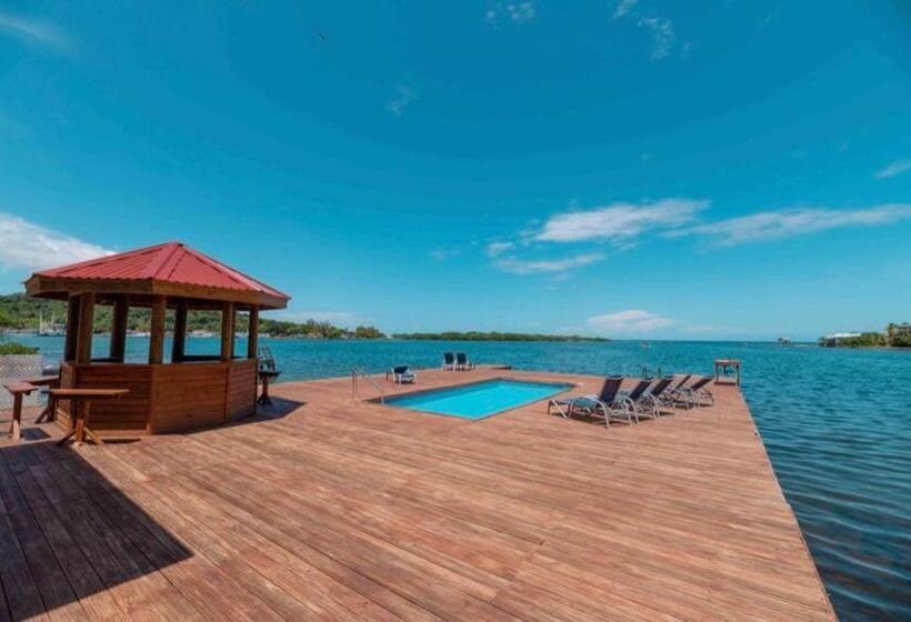 هاستل Sir Sea Villas Of Roatan Sailfish 1 Bed 1 Bath