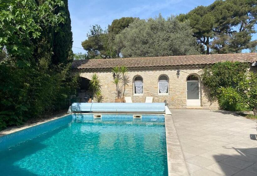 تختخواب و صبحانه Le Patio Aux Oiseaux