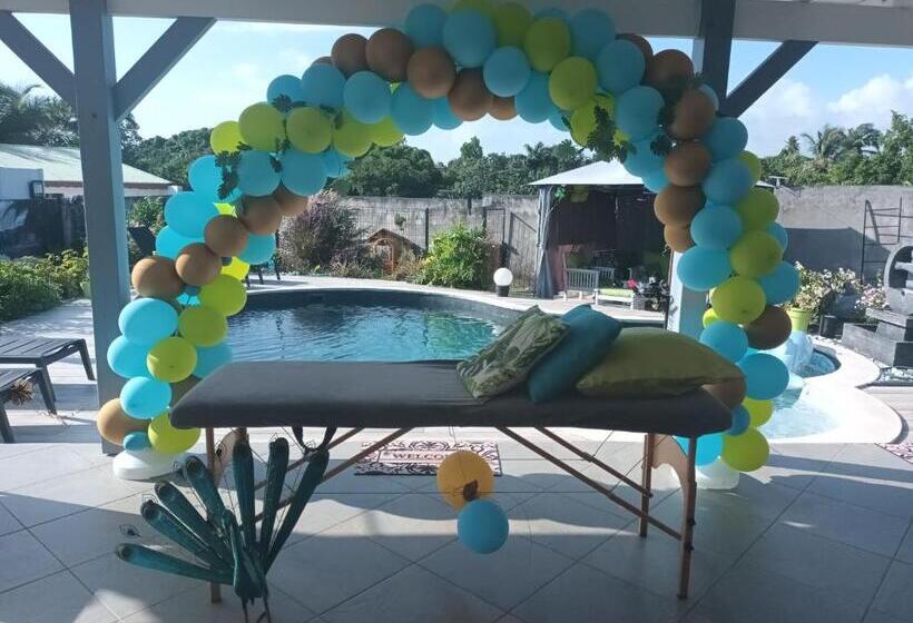 تختخواب و صبحانه Spirit