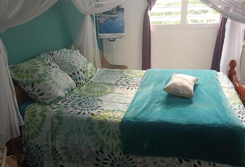 تختخواب و صبحانه Spirit