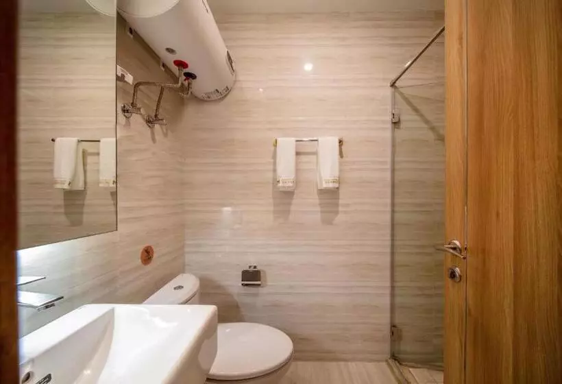 Hefei Tom