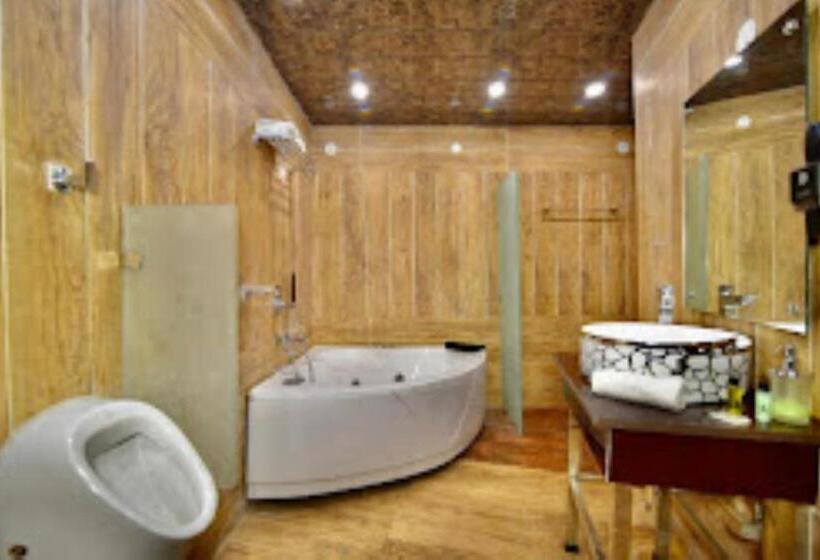 酒店 Dalhouse Valley Banikhet