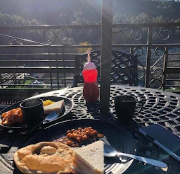 酒店 Dalhouse Valley Banikhet