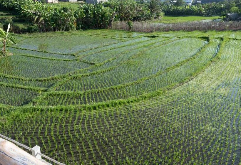 Пансион Arti By Umah Pererenan