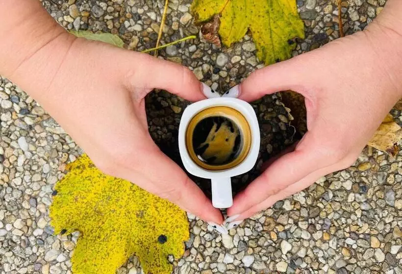 Majatalo Hillden Lodge &restaurant