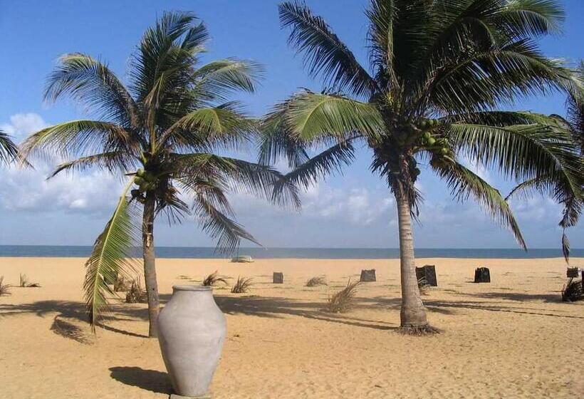 بنسيون The Blue Ocean Guest House