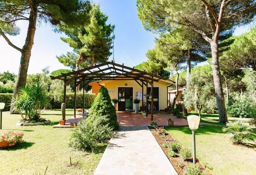 Residence With Swimming Pool In Guardistallo Surrounded By Nature