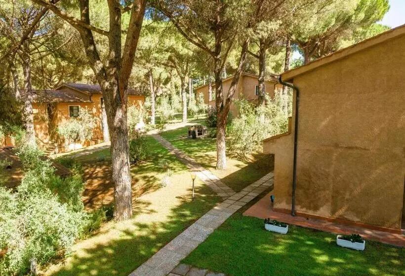 Residence With Swimming Pool In Guardistallo Surrounded By Nature