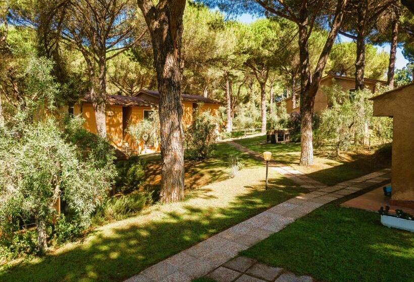 Residence With Swimming Pool In Guardistallo Surrounded By Nature