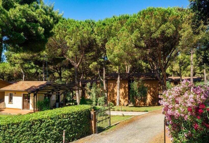 Residence With Swimming Pool In Guardistallo Surrounded By Nature