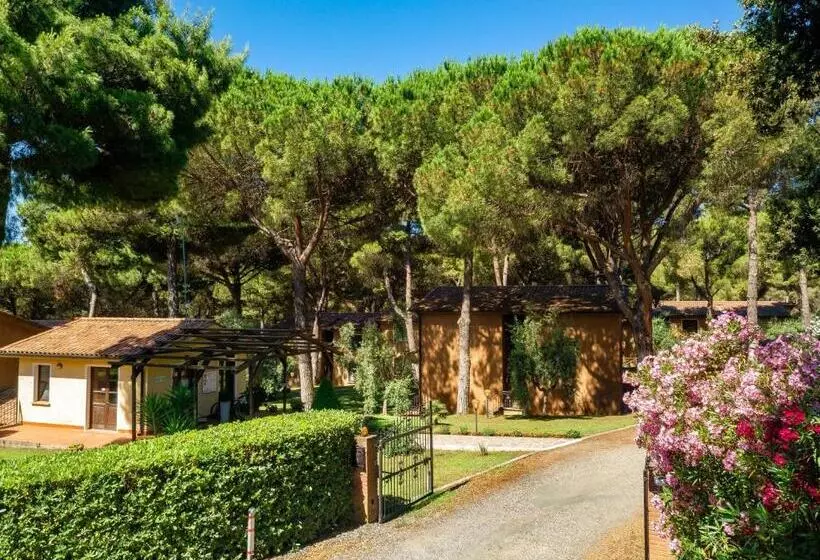 Residence With Swimming Pool In Guardistallo Surrounded By Nature