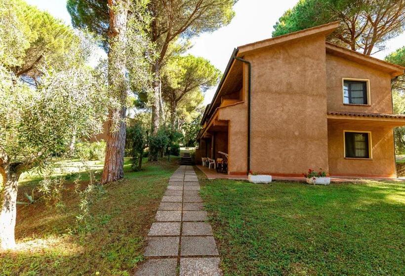 Residence With Swimming Pool In Guardistallo Surrounded By Nature