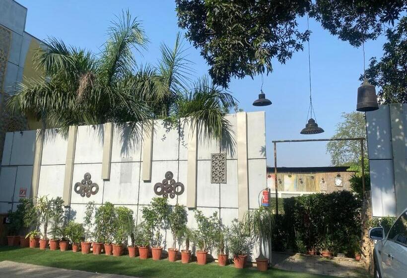 住宿加早餐  Cedar