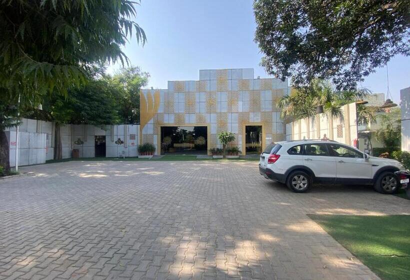 住宿加早餐  Cedar