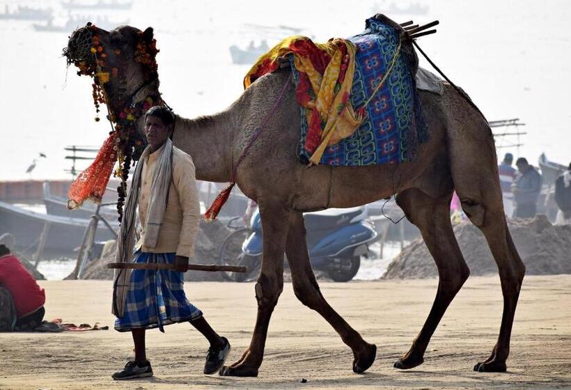 Hotel Rockbay ! Puri, Swimming Pool Lift And Parking Facility Near Sea Beach & Temple Breakfast Included