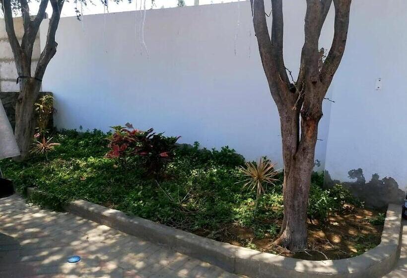 Szálloda Sol De Ocucaje