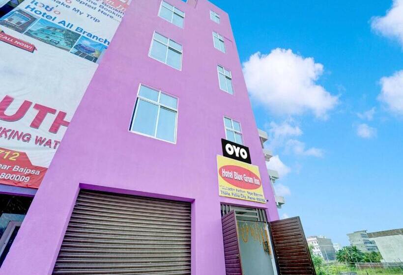 Oyo Flagship Hotel Blue Gram Inn