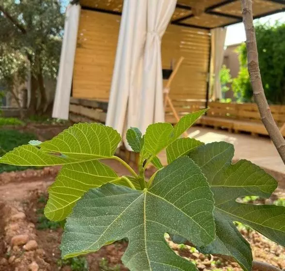 Majatalo Friendly Dades Lodge