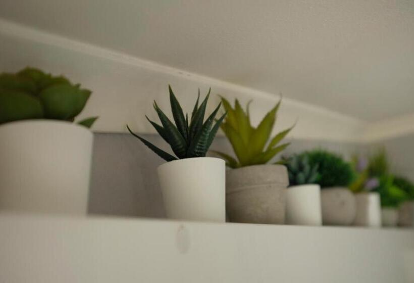 پانسیون Palmeiras Beach House Santa Cruz