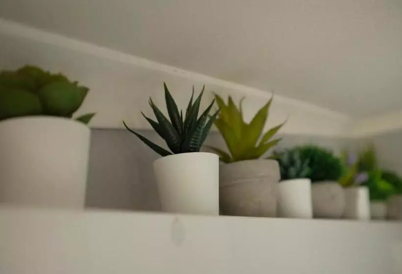 ペンション Palmeiras Beach House   Santa Cruz