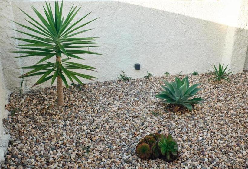 پانسیون Palmeiras Beach House Santa Cruz