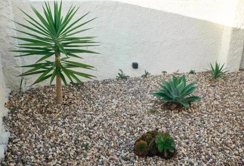 ペンション Palmeiras Beach House   Santa Cruz