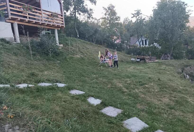 Общежитие Carpatina Rustic House