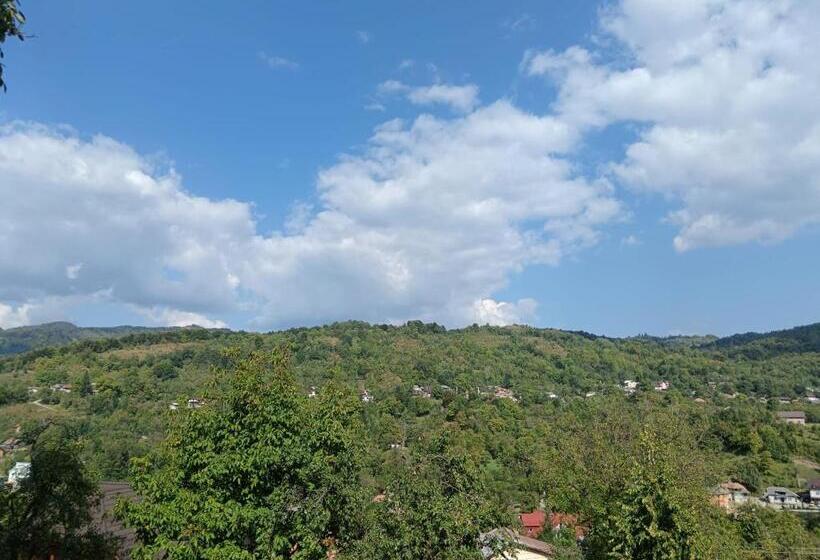 Общежитие Carpatina Rustic House