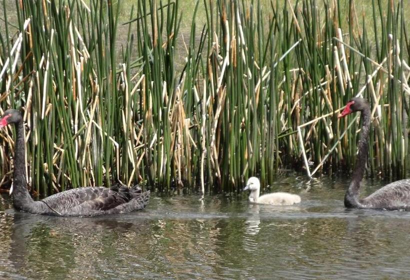 مبيت وإفطار Chandlers Rest