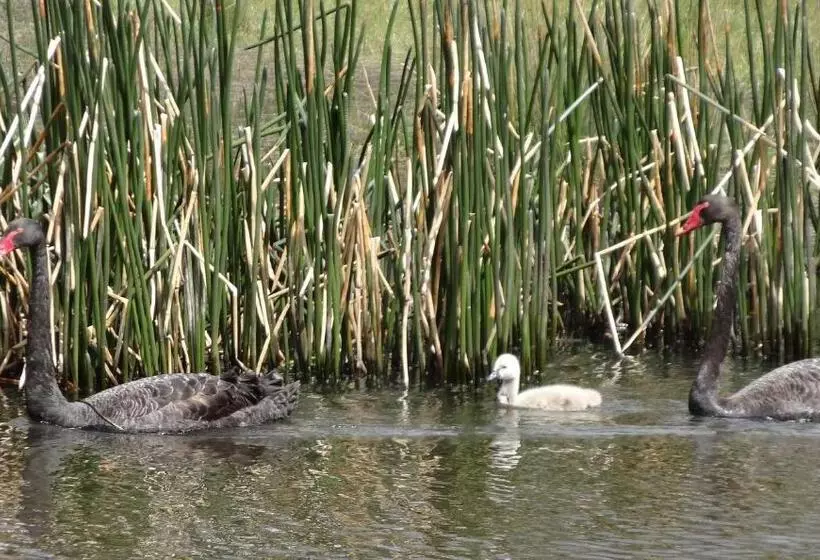 ベッドアンドブレックファースト Chandlers Rest