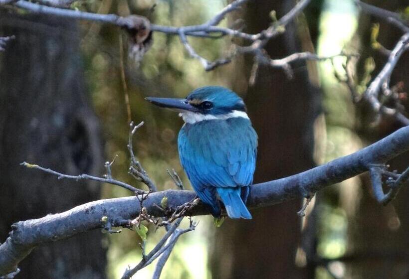 مبيت وإفطار Chandlers Rest